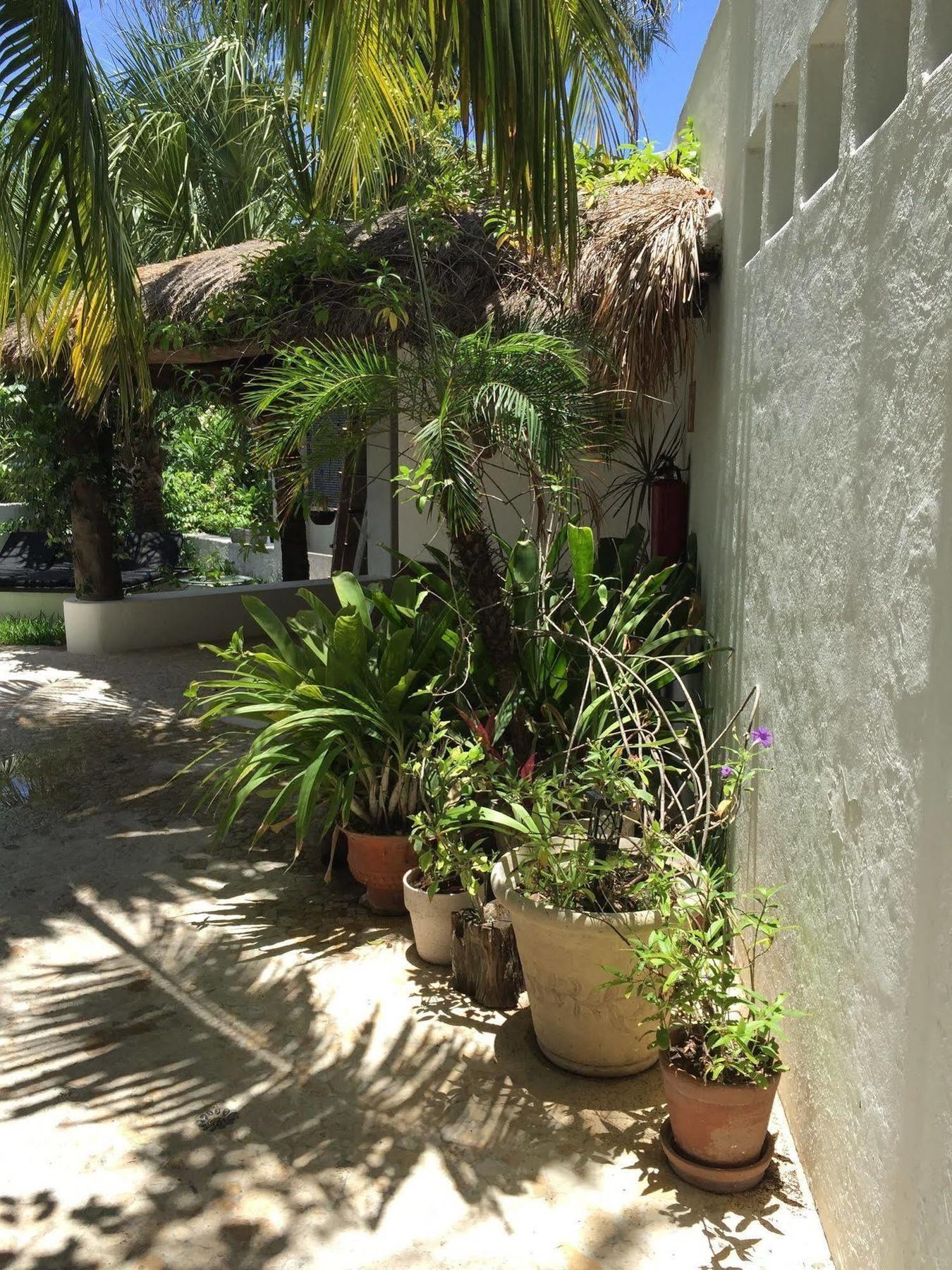 Mi Casa En Cozumel Hotel Exterior foto