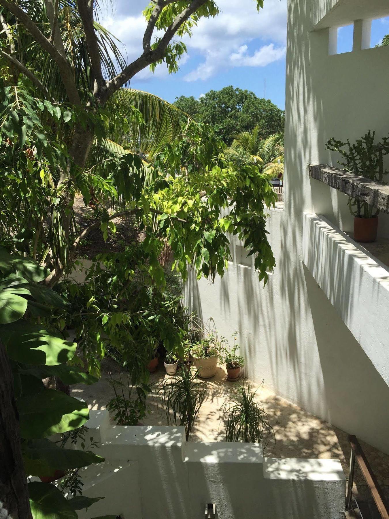 Mi Casa En Cozumel Hotel Exterior foto